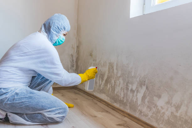 Hvac And Air Duct Mold Remediation inspection of HVAC system in Glendale