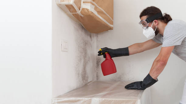 Attic Mold Remediation treatment on roof deck in Glendale